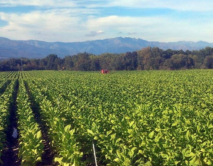 El Gobierno extremeño regulará la formación de futuros agricultores