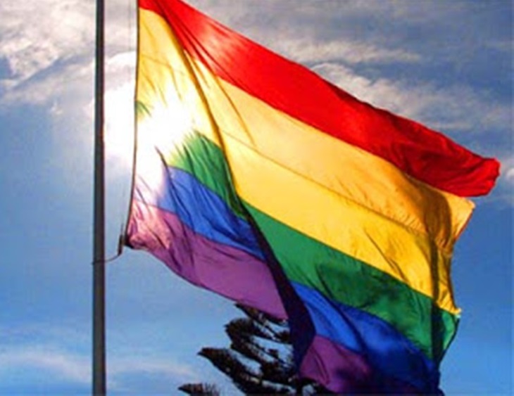 El PSOE ondeará banderas LGTBI en aquellos ayuntamientos donde gobierne