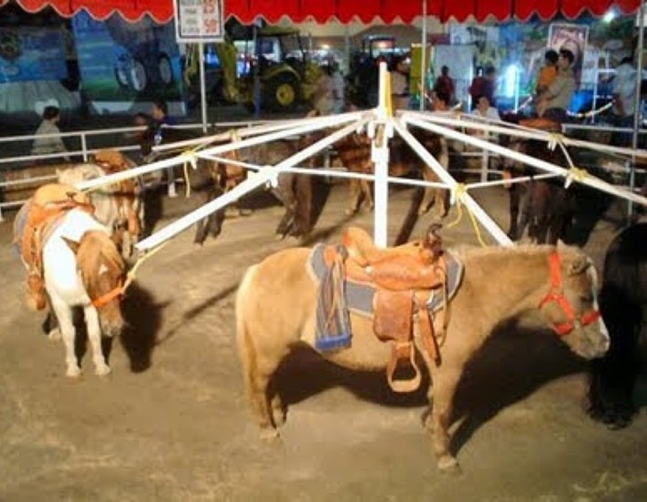 Mérida Participa exige que &quot;no se contraten atracciones que utilicen animales&quot; para la Feria de Mérida