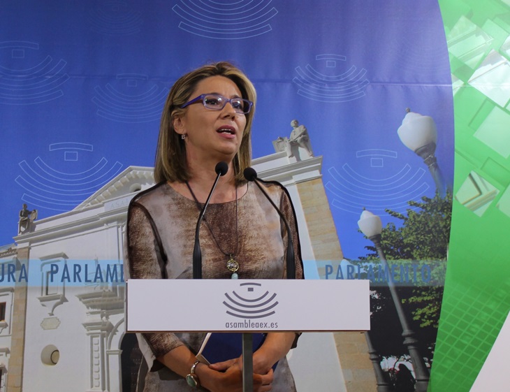 El PP califica de &quot;decepcionante y poco realista&quot; el discurso de Fernández Vara