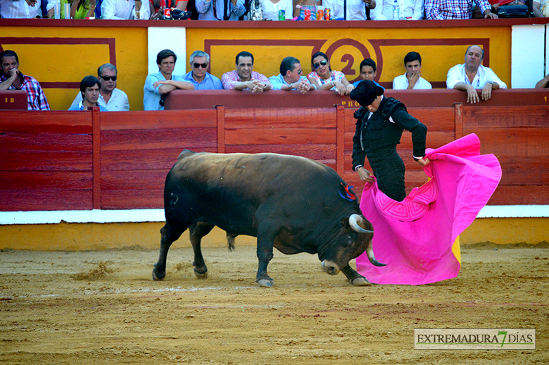 FOTOS de la CORRIDA de Toros de Morante, Manzanares y Garrido