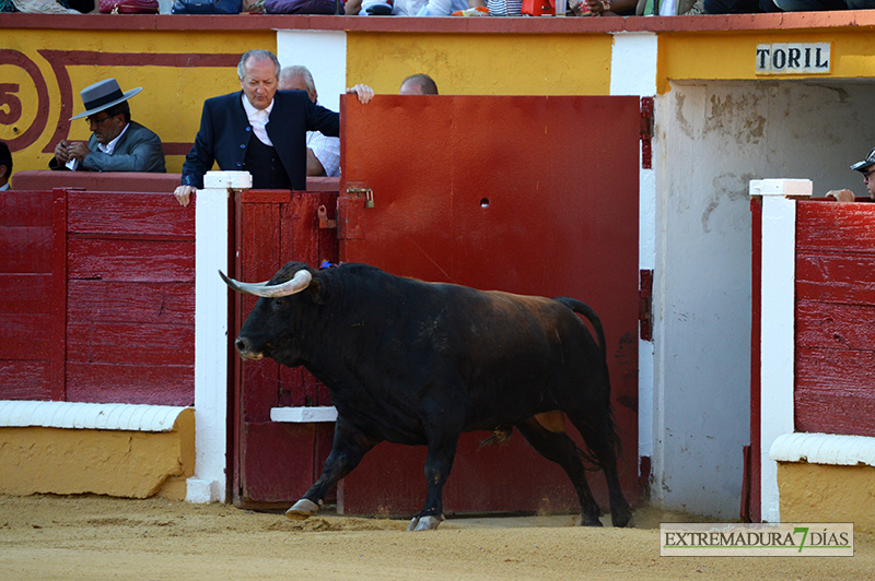 FOTOS de la CORRIDA de Toros de Morante, Manzanares y Garrido