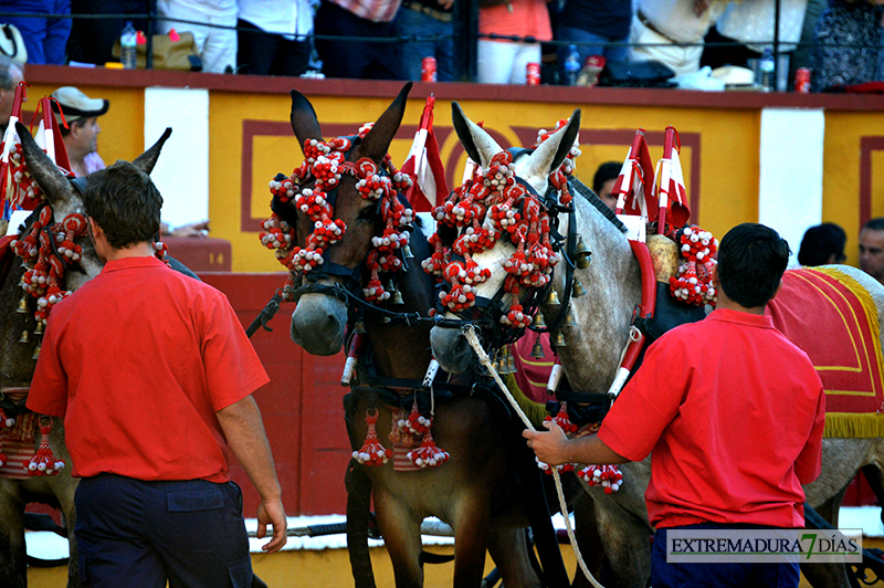 Imágenes de la primera corrida de la Feria de San Juan 2015