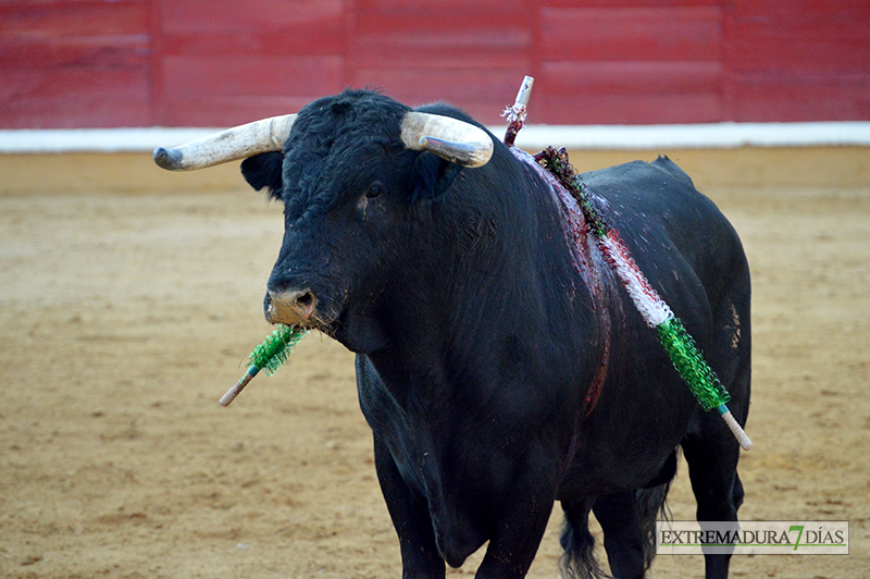 Fotos de la cuarta de Feria de San Juan en Badajoz