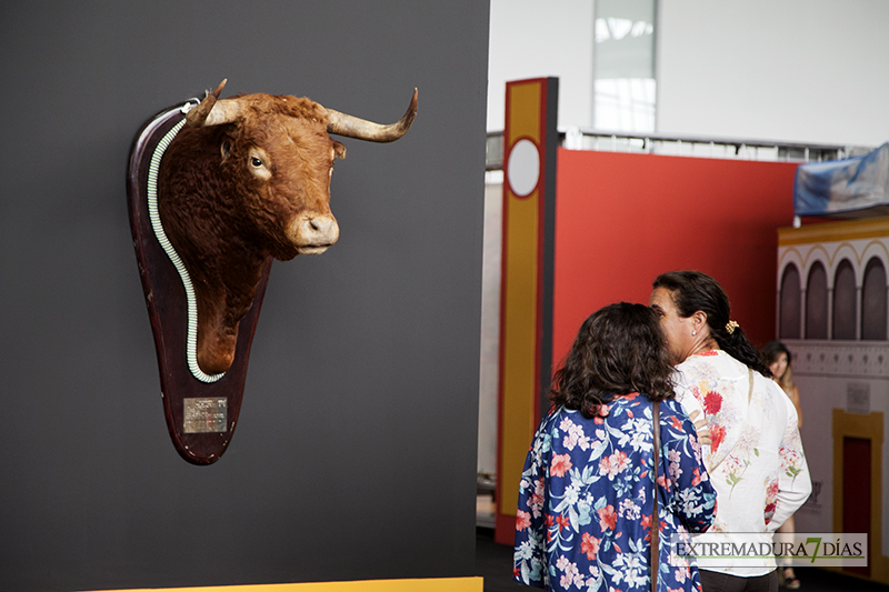 El torero Fran Rivera inaugura su exposición en Badajoz