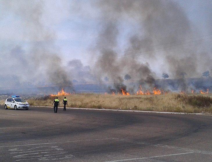 Incendio en la carretera de Badajoz a Campo Maior