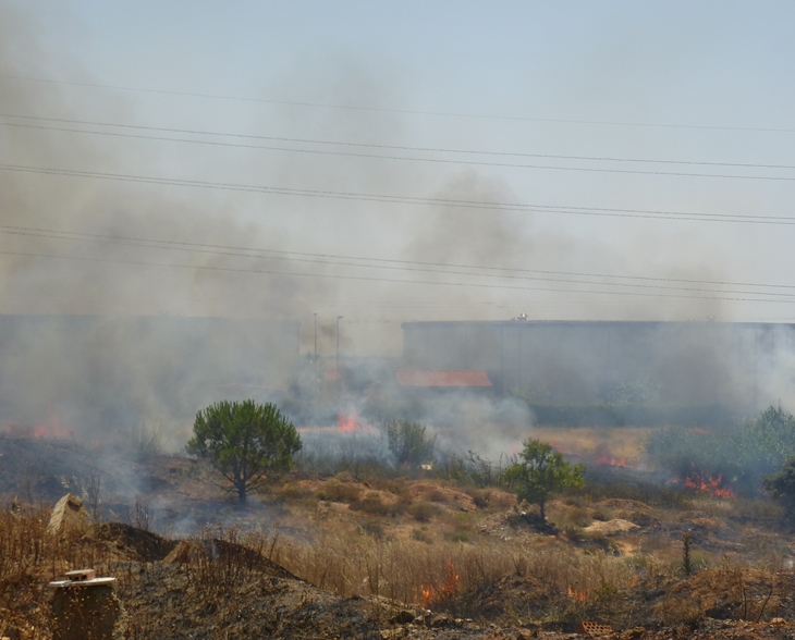 Incendio en las inmediaciones de la casa de Monago en Badajoz