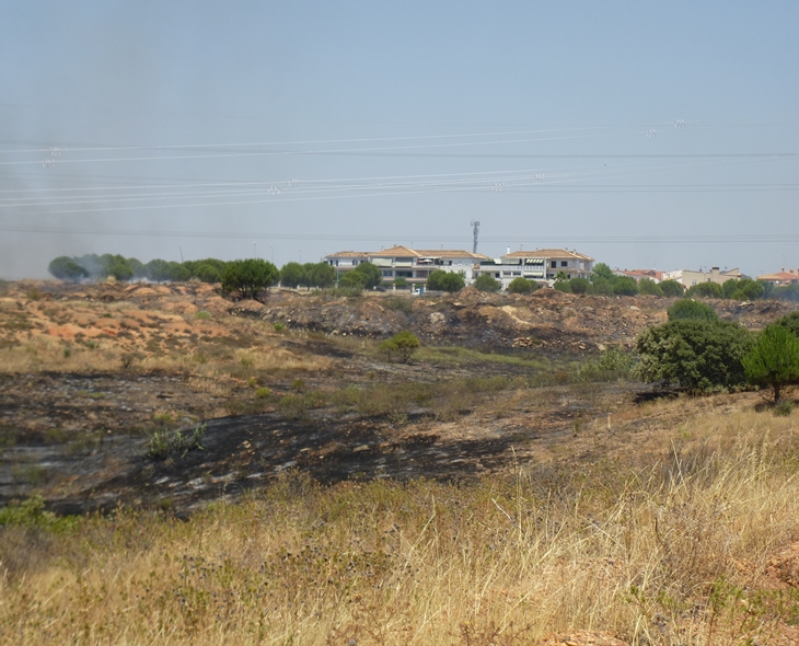 Incendio en las inmediaciones de la casa de Monago en Badajoz