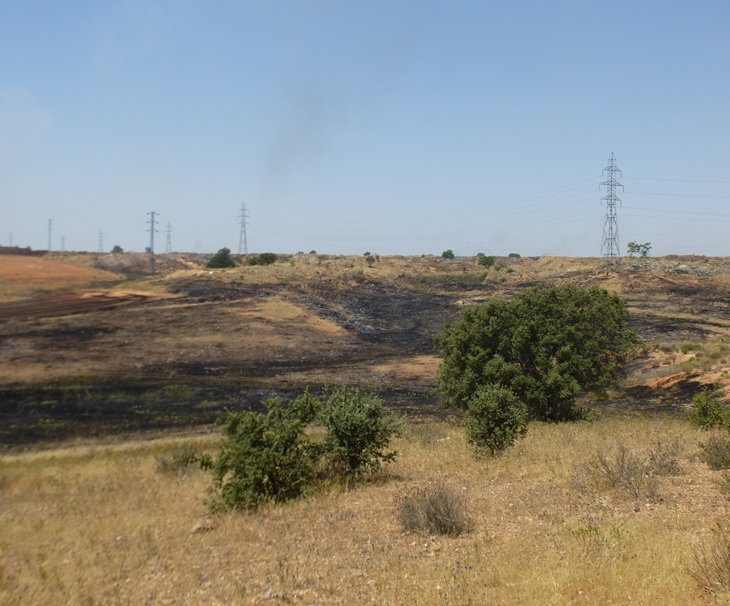 Incendio en las inmediaciones de la casa de Monago en Badajoz