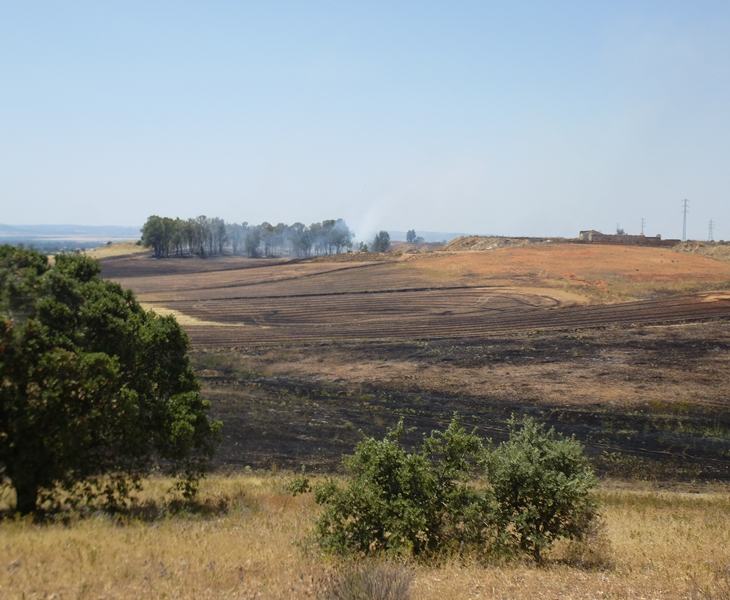 Incendio en las inmediaciones de la casa de Monago en Badajoz