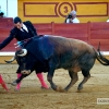 FOTOS de la CORRIDA de Toros de Morante, Manzanares y Garrido