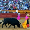 Imágenes de la primera corrida de la Feria de San Juan 2015