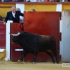 FOTOS de la CORRIDA de Toros de Morante, Manzanares y Garrido