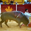 FOTOS de la CORRIDA de Toros de Morante, Manzanares y Garrido