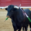 Fotos de la cuarta de Feria de San Juan en Badajoz