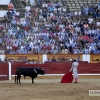 FOTOS de la NOVILLADA de la Feria de San Juan 2015