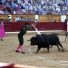 FOTOS de la NOVILLADA de la Feria de San Juan 2015