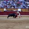 FOTOS de la NOVILLADA de la Feria de San Juan 2015