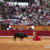 FOTOS de la NOVILLADA de la Feria de San Juan 2015