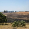 Incendio en las inmediaciones de la casa de Monago en Badajoz