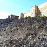 La Cívica pide la limpieza de las laderas de la Alcazaba y San Cristóbal para evitar incendios