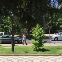 El ayuntamiento de Mérida asegura que el PP &quot;desconoce la diferencia entre un paso de peatones y una señal emocional&quot;