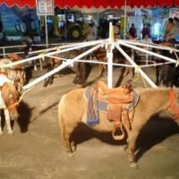 Mérida Participa en contra de las atracciones de Feria con animales