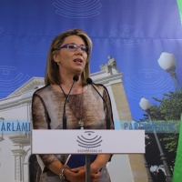 El PP califica de &quot;decepcionante y poco realista&quot; el discurso de Fernández Vara