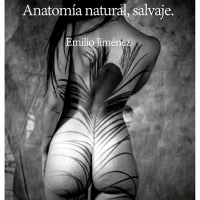 Desnudo y naturaleza se fusionan en la exposición fotográfica &quot;Anatomía natural, salvaje&quot;