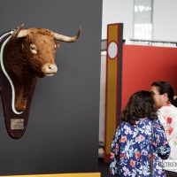 El torero Fran Rivera inaugura su exposición en Badajoz
