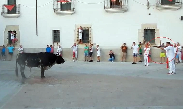 Polémica en los Sanjuanes de Coria