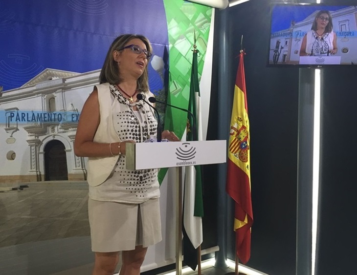El PP exige a Vara explicaciones de &quot;cómo quedará el edificio III Milenio&quot;