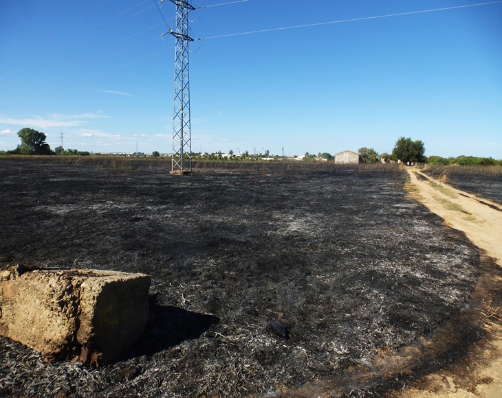 Un incendio de grandes dimensiones amenaza a varias viviendas en la carretera de Olivenza