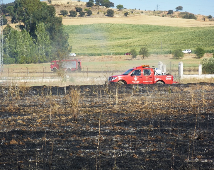 Un incendio de grandes dimensiones amenaza a varias viviendas en la carretera de Olivenza