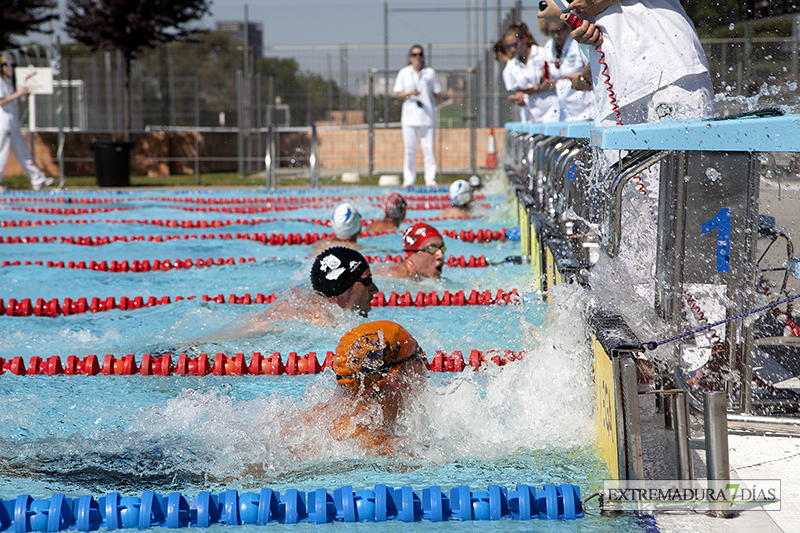 Celebrado el Campeonato de Extremadura de Natación