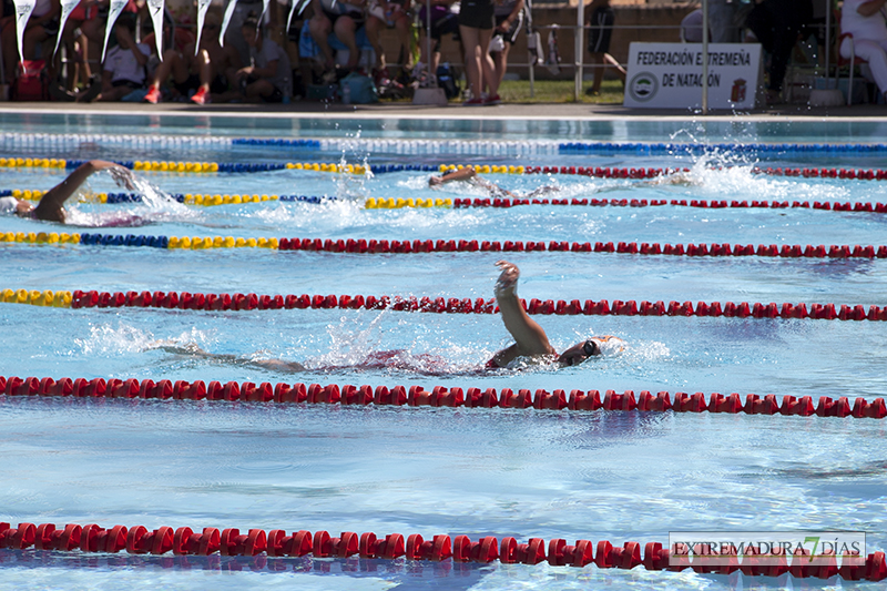 Celebrado el Campeonato de Extremadura de Natación