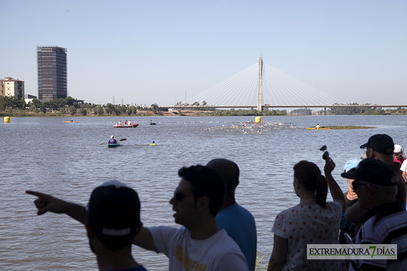 Deporte y Cultura se unen en el XII Triatlon de Badajoz