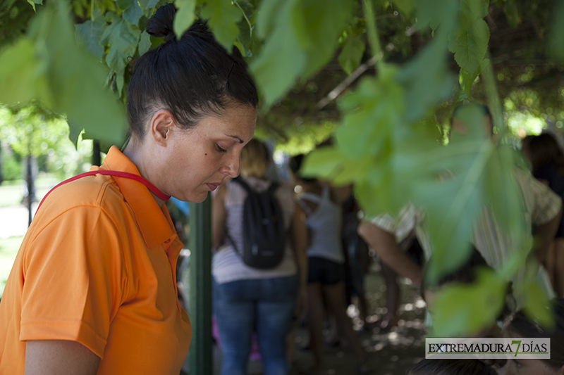 El parque de Castelar &#39;Vive el verano&#39; desde hoy