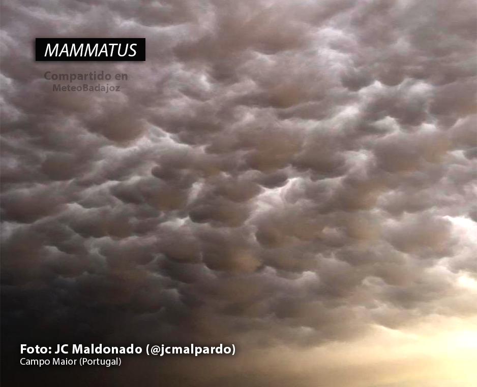 Las mejores imágenes de las tormentas en Extremadura el viernes 17 de julio