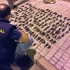 Intervienen 160 jilgueros a un hombre que cazaba pájaros en el Guadiana