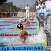 Celebrado el Campeonato de Extremadura de Natación