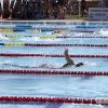 Celebrado el Campeonato de Extremadura de Natación