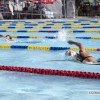 Celebrado el Campeonato de Extremadura de Natación