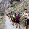 1.200 niños participarán en los campamentos de verano de los Scouts