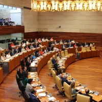 La Asamblea celebrará un pleno para tratar los efectos de la LOMCE
