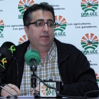 UPA-UCE propone medidas para el equilibrio del sector del tomate