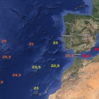 La temperatura del agua en el mar, varios grados por encima