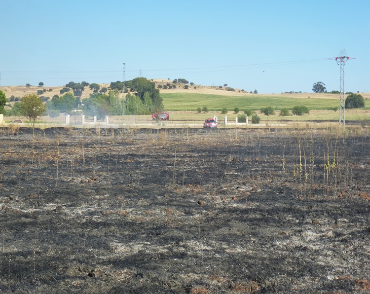 Un incendio de grandes dimensiones amenaza a varias viviendas en la carretera de Olivenza