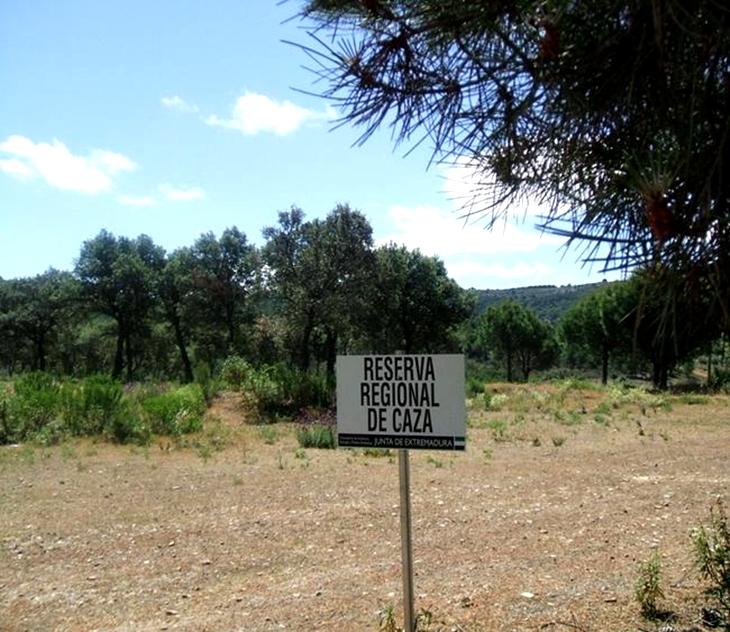 Arranca la media veda de caza en Extremadura