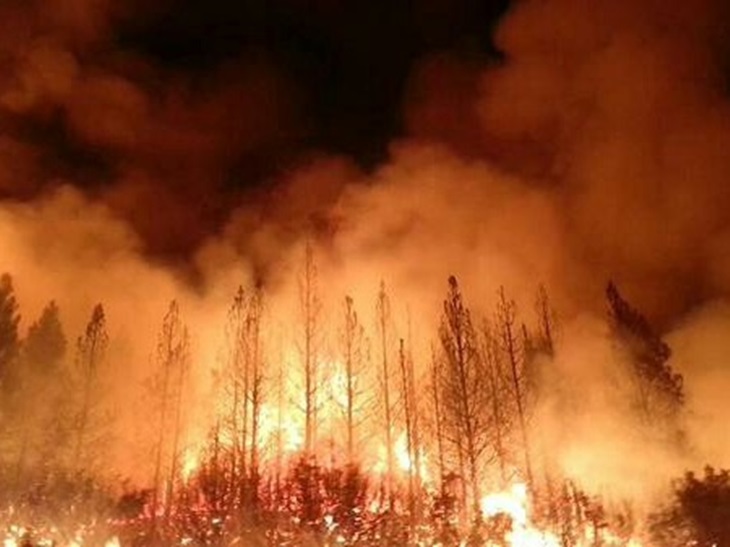Las desgarradoras imágenes del incendio de Sierra de Gata